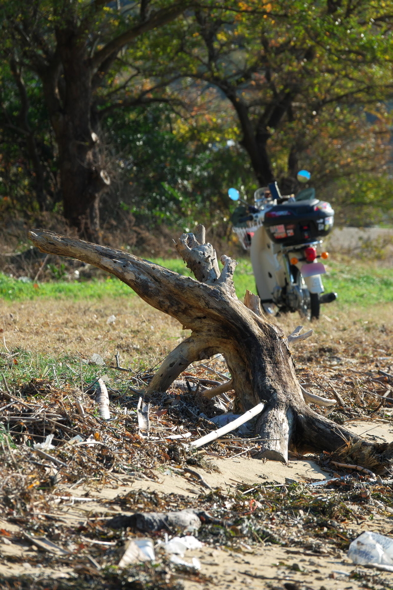 f:id:gan_jiro:20211202141922j:plain