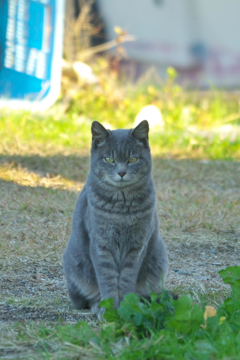 f:id:gan_jiro:20211202150817j:plain