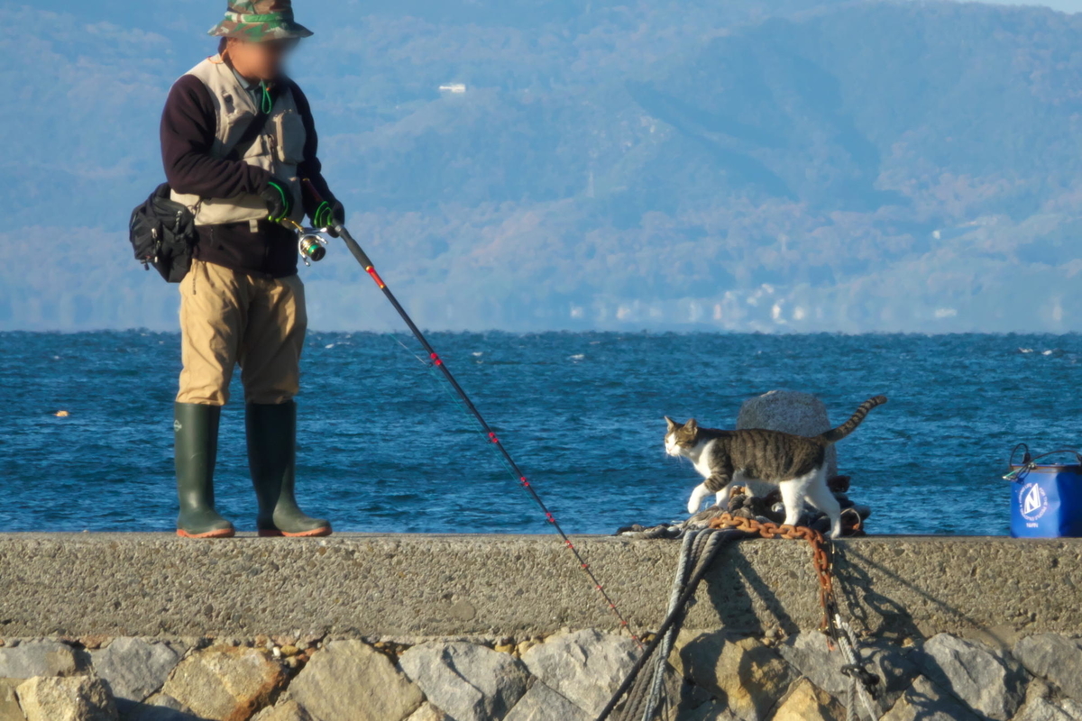 f:id:gan_jiro:20211202151037j:plain