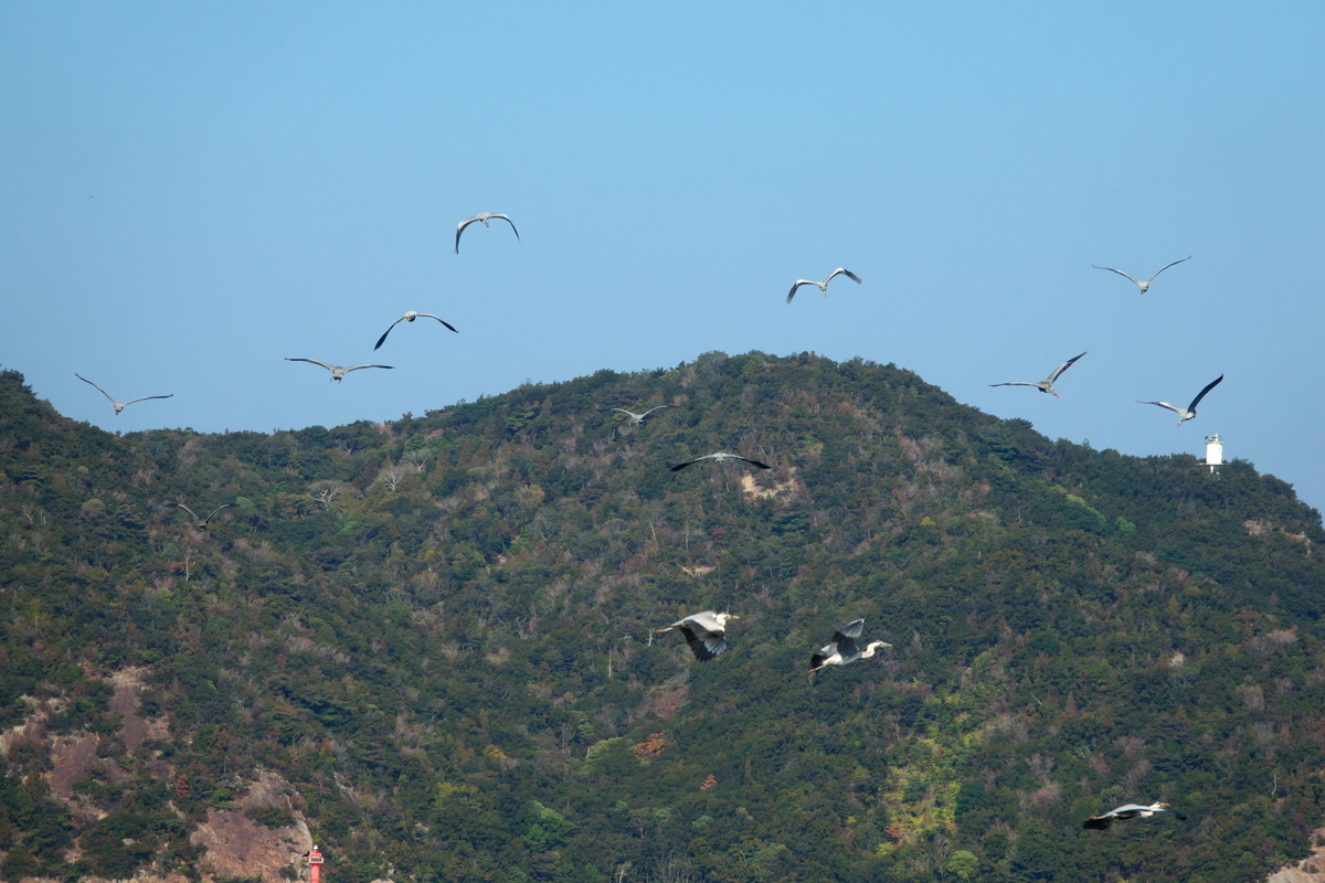 f:id:gan_jiro:20211224111456j:plain