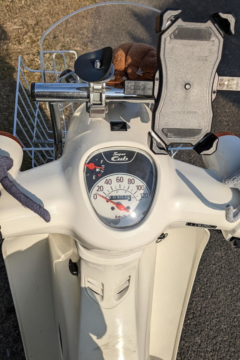 f:id:gan_jiro:20220103100230j:plain