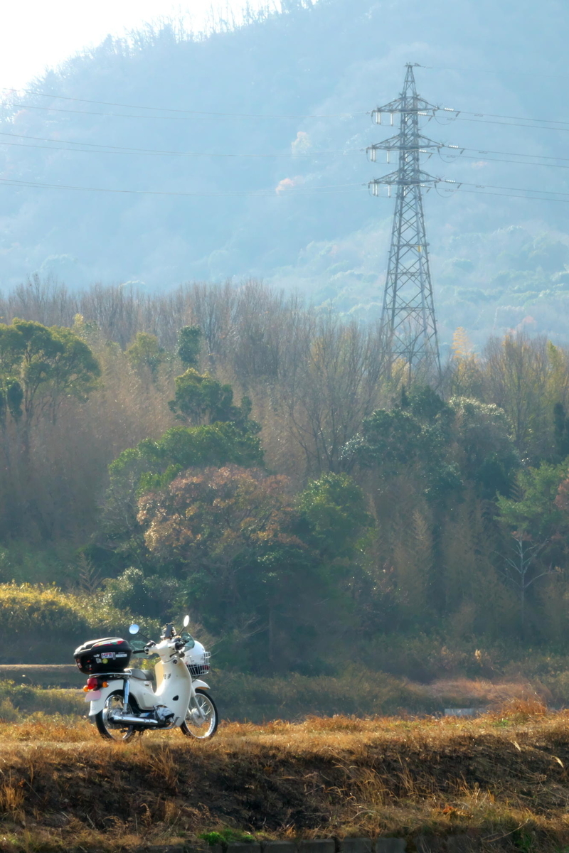 f:id:gan_jiro:20220103102906j:plain