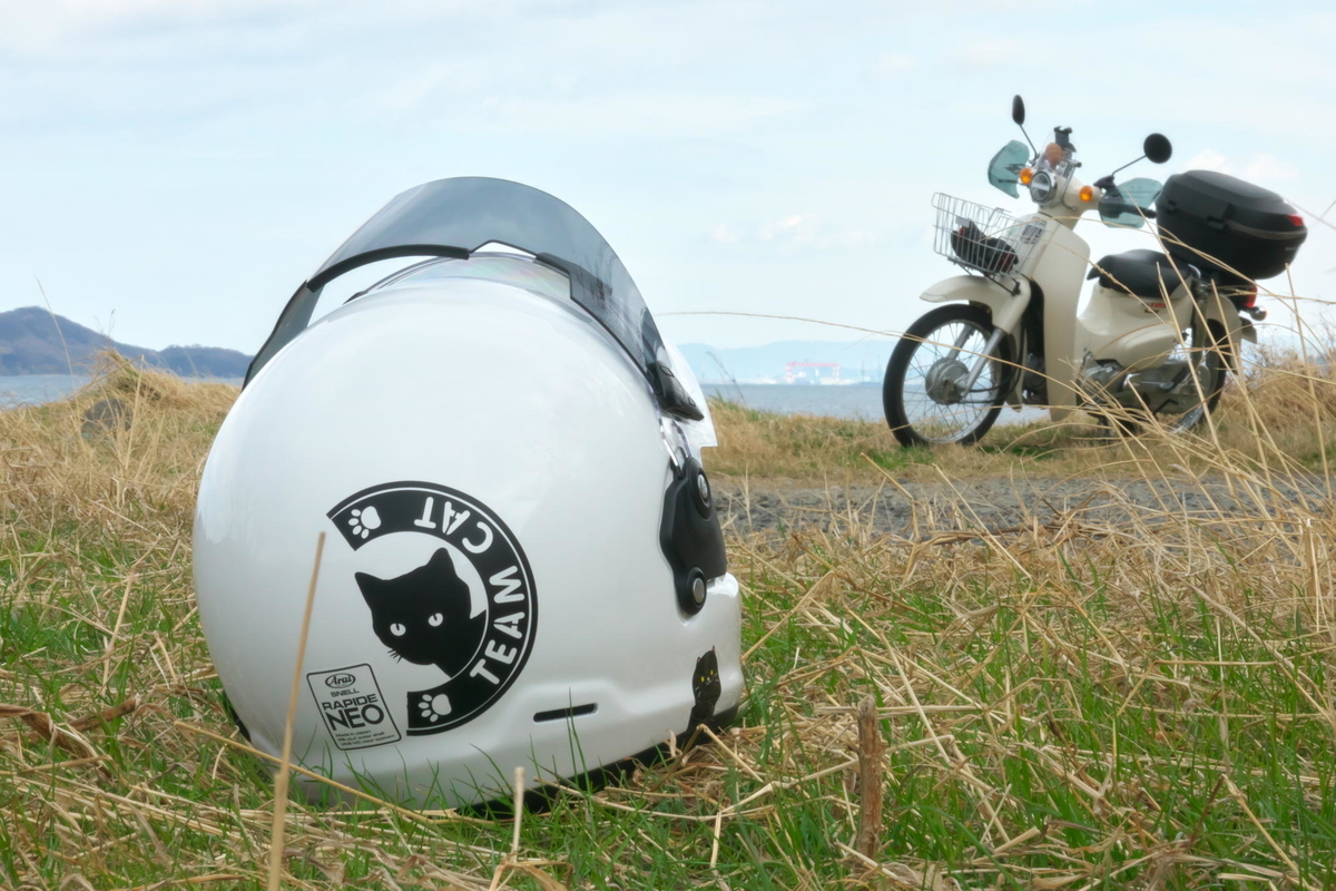 f:id:gan_jiro:20220116112148j:plain