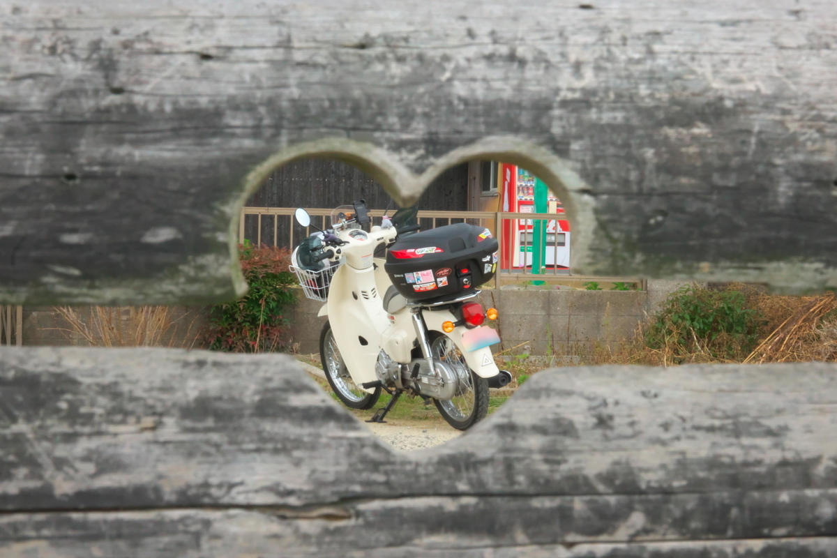 f:id:gan_jiro:20220116114206j:plain