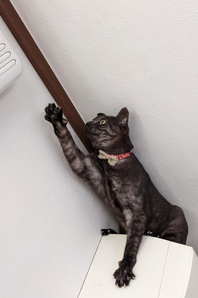 f:id:gan_jiro:20220212093245j:plain