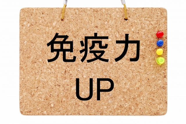f:id:ganahakoudai:20181223190837j:plain