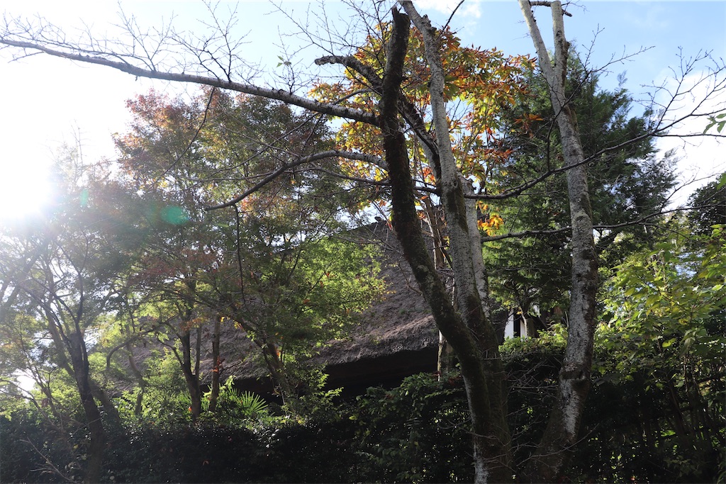 f:id:gananan:20231029155337j:image