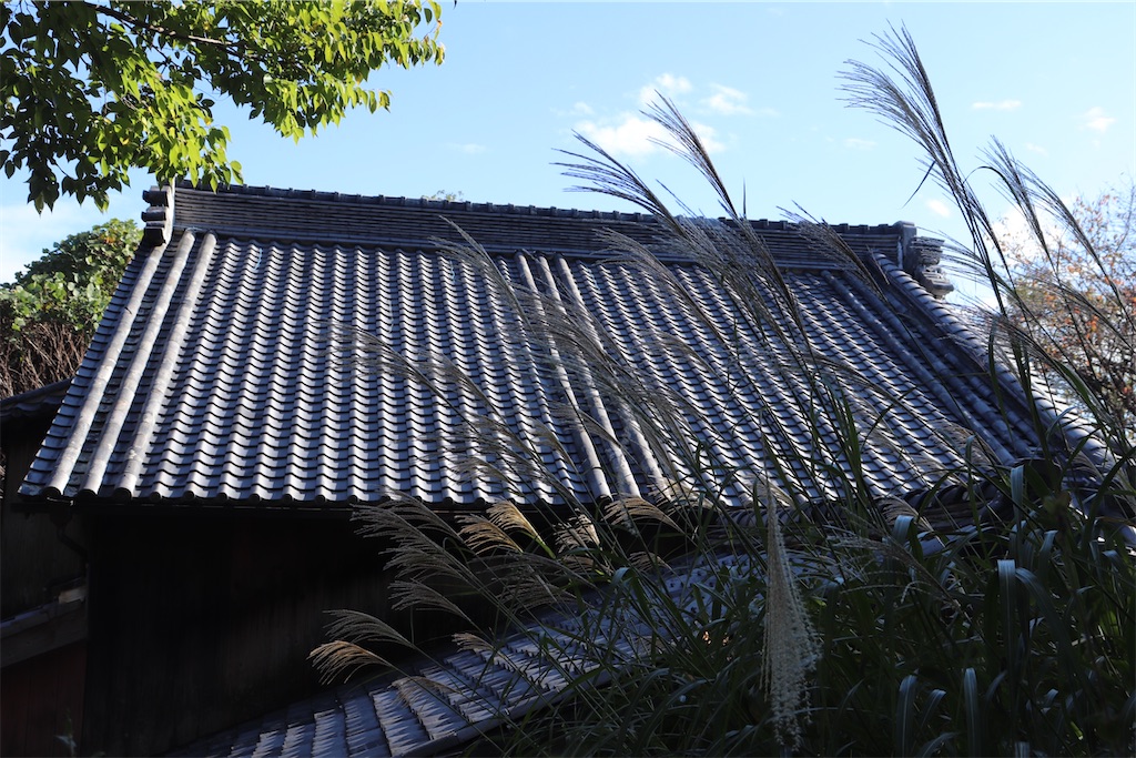 f:id:gananan:20231029155357j:image
