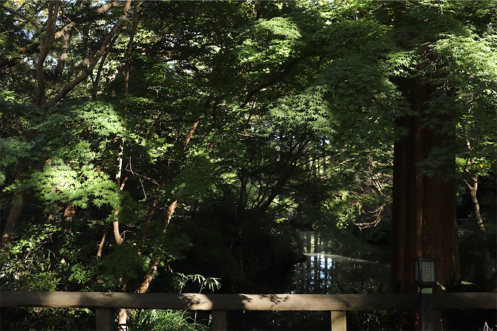 f:id:gananan:20231029155416j:image