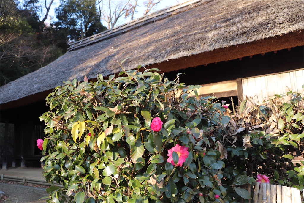 f:id:gananan:20240127204916j:image