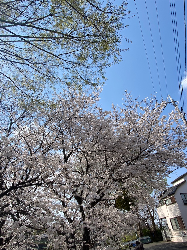f:id:gananan:20250403225104j:image