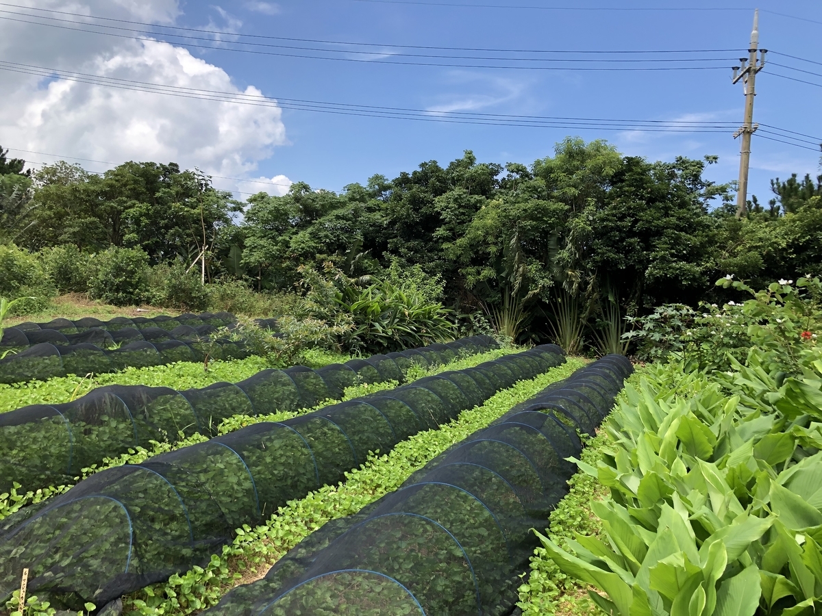 f:id:ganapati88:20200217120836j:plain