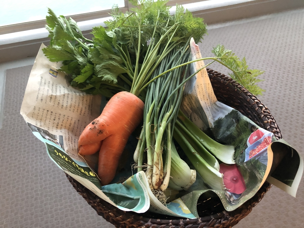 f:id:ganapati88:20200323124115j:plain