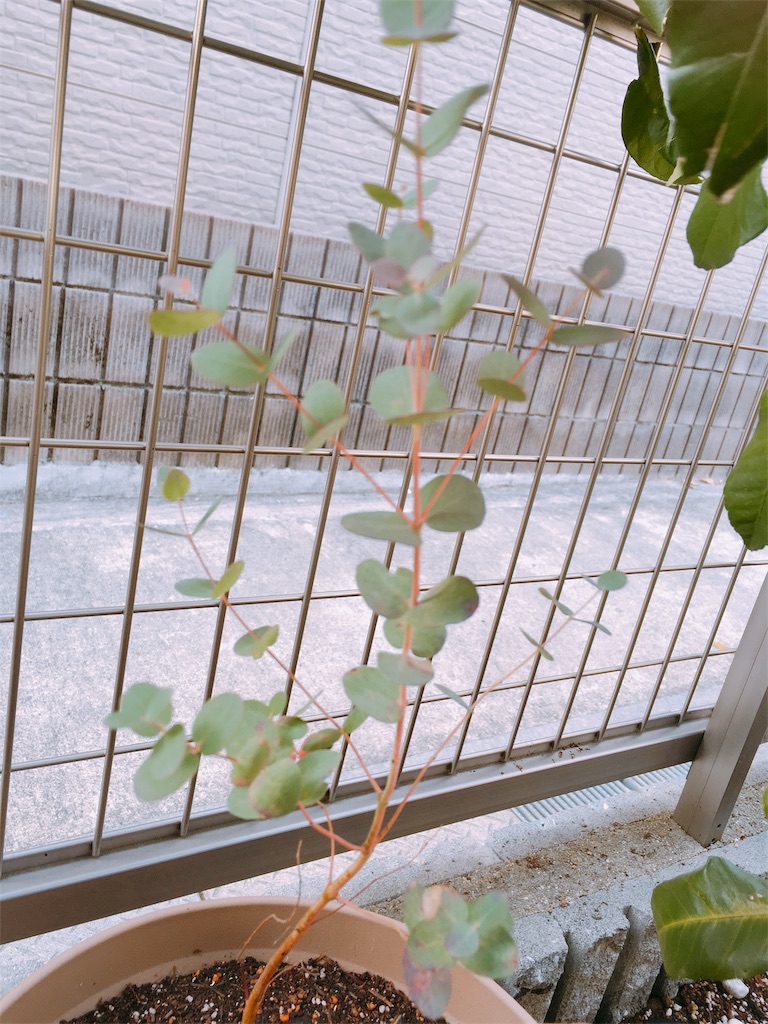f:id:ganarusyuhu1:20181130141634j:plain f:id:ganarusyuhu1:20181130141634j:plain