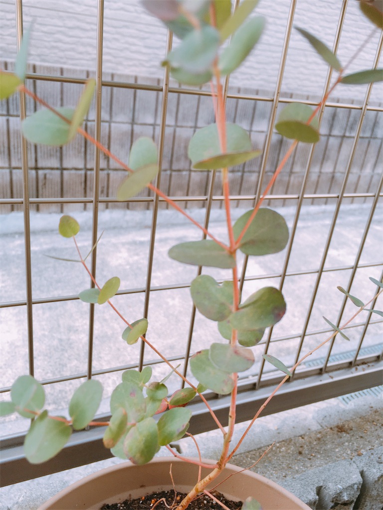 f:id:ganarusyuhu1:20181130141656j:plain f:id:ganarusyuhu1:20181130141656j:plain
