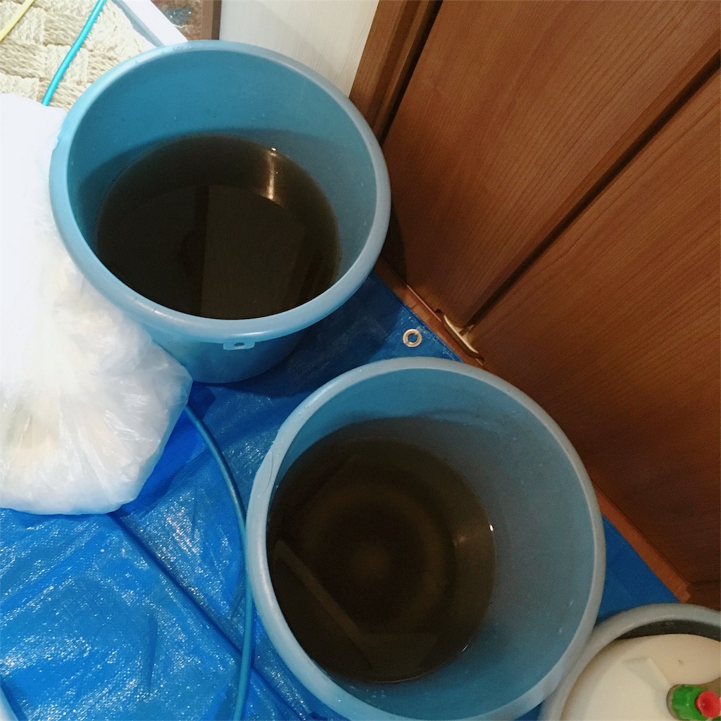 f:id:ganarusyuhu1:20191020144857j:image f:id:ganarusyuhu1:20191020144857j:image