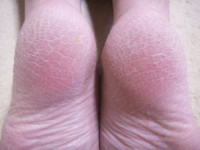 f:id:ganaware:20100518081433j:image f:id:ganaware:20100518081433j:image