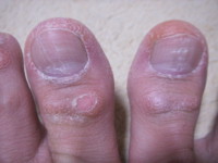 f:id:ganaware:20100521002029j:image f:id:ganaware:20100521002029j:image