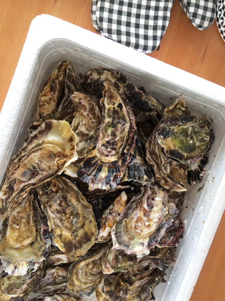 f:id:ganbare_aipyan_77:20181020212226j:plain f:id:ganbare_aipyan_77:20181020212226j:plain