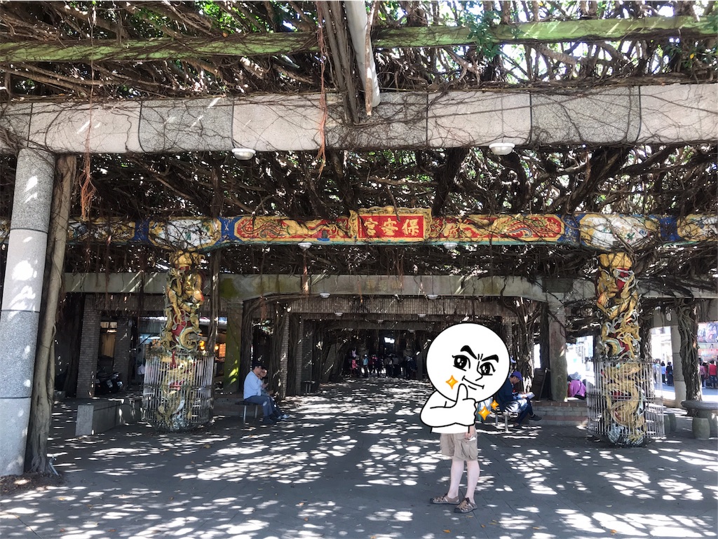 f:id:ganbarekattun:20191009114649j:image f:id:ganbarekattun:20191009114649j:image