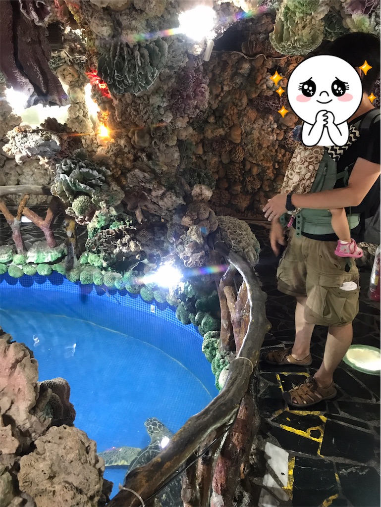 f:id:ganbarekattun:20191009114954j:image f:id:ganbarekattun:20191009114954j:image