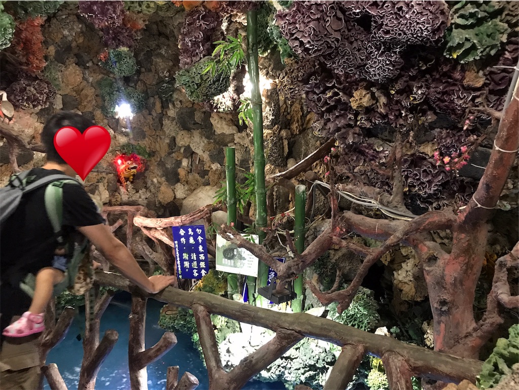 f:id:ganbarekattun:20191009115001j:image f:id:ganbarekattun:20191009115001j:image