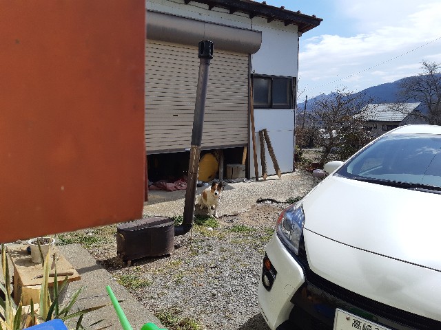 f:id:ganbarubi:20190321130900j:image f:id:ganbarubi:20190321130900j:image