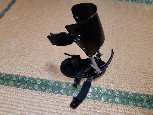 f:id:ganbarubi:20190409184254j:image