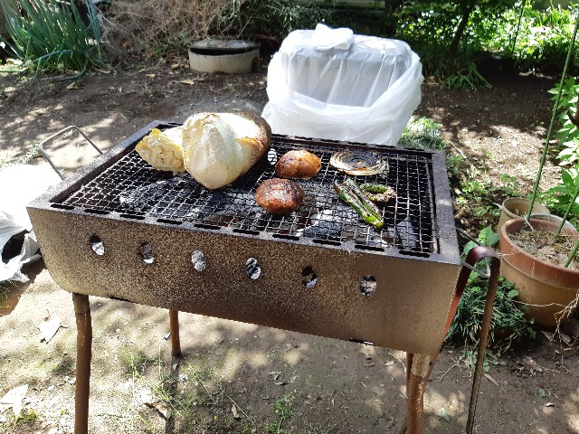 f:id:ganbarubi:20190503083621j:image