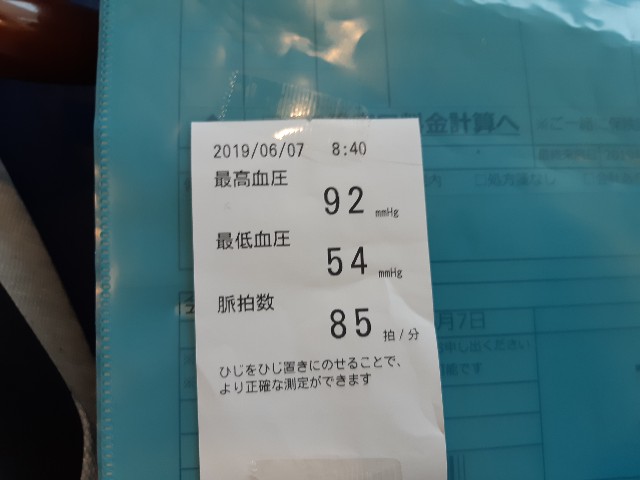 f:id:ganbarubi:20190607111425j:image