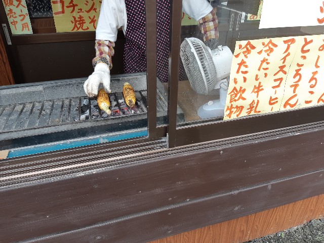 f:id:ganbarubi:20190701165243j:image