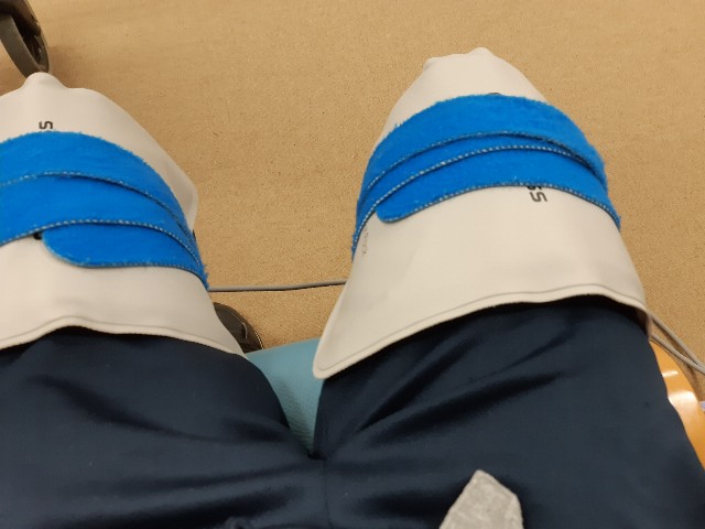 f:id:ganbarubi:20190816105437j:image