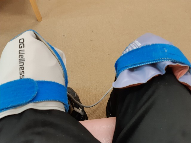 f:id:ganbarubi:20190906104526j:image