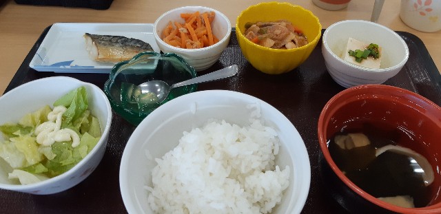 f:id:ganbarubi:20191129123251j:image