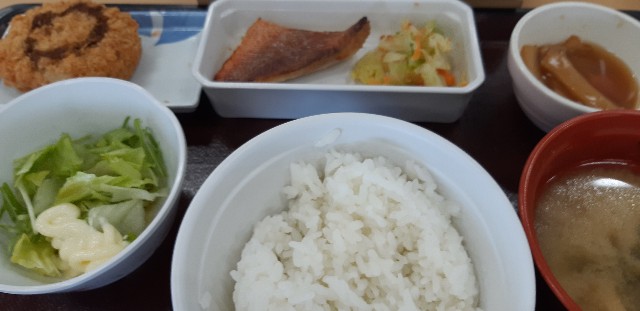 f:id:ganbarubi:20191203121625j:image