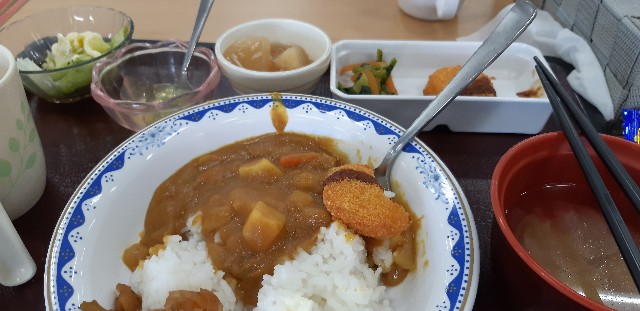 f:id:ganbarubi:20191213123615j:image f:id:ganbarubi:20191213123615j:image