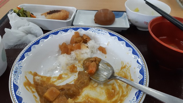 f:id:ganbarubi:20200313122506j:image