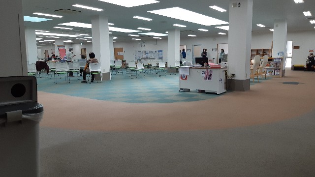 f:id:ganbarubi:20200522095448j:image