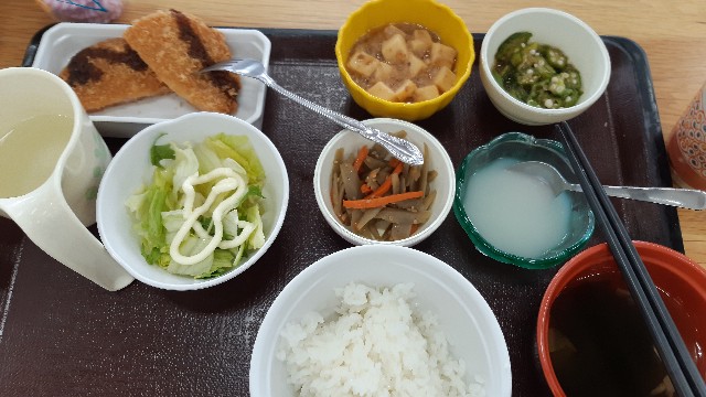 f:id:ganbarubi:20200630133049j:image