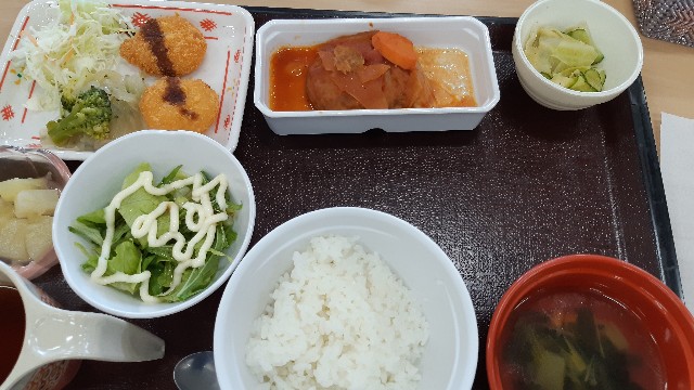 f:id:ganbarubi:20201113122304j:image
