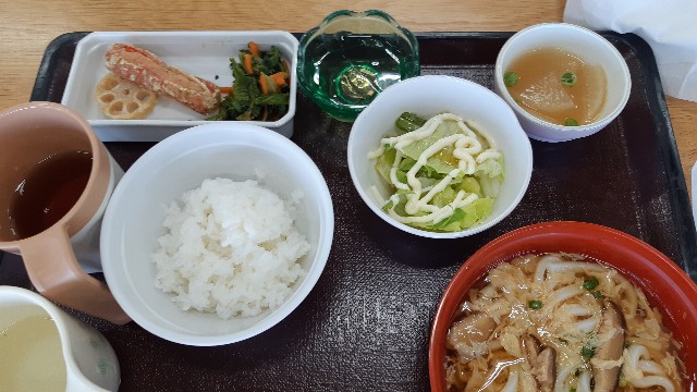 f:id:ganbarubi:20201124122839j:image