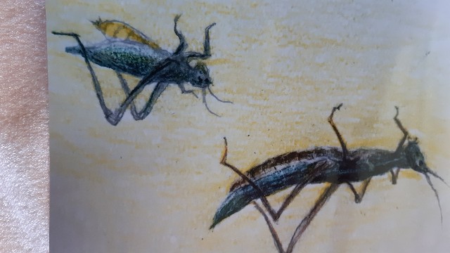 f:id:ganbarubi:20201201140605j:image