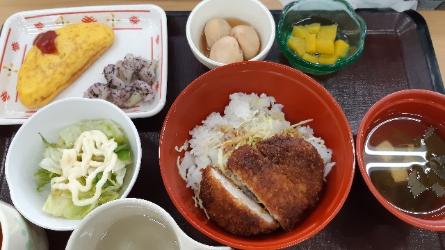 f:id:ganbarubi:20201211123041j:image