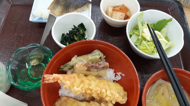 f:id:ganbarubi:20210112121929j:image