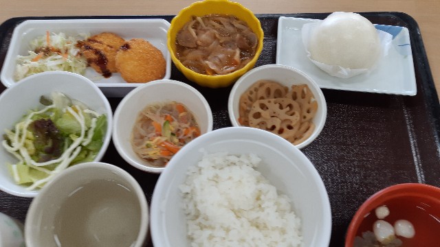 f:id:ganbarubi:20210115122306j:image