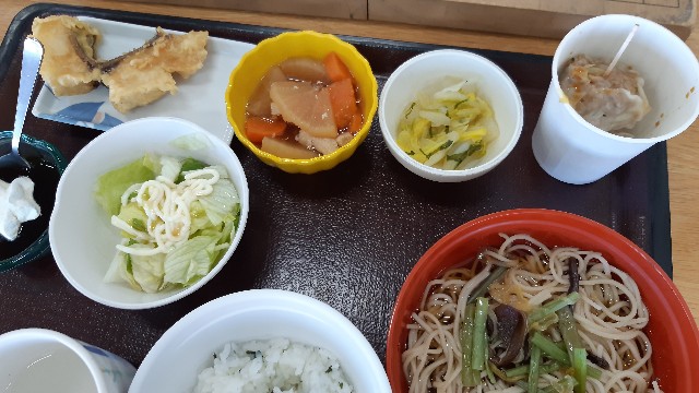f:id:ganbarubi:20210119122548j:image