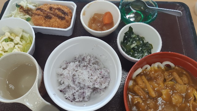 f:id:ganbarubi:20210129122356j:image