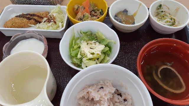 f:id:ganbarubi:20210202120254j:image