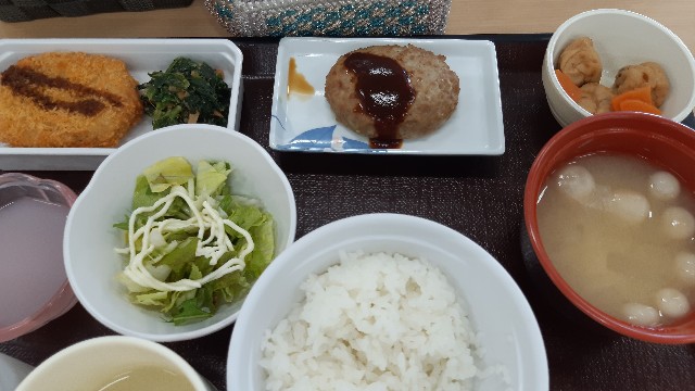 f:id:ganbarubi:20210601122306j:image