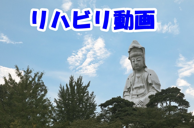 f:id:ganbarubi:20210604083943j:plain